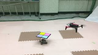 Celebrity Visual Feedback Control with Drone Wealth