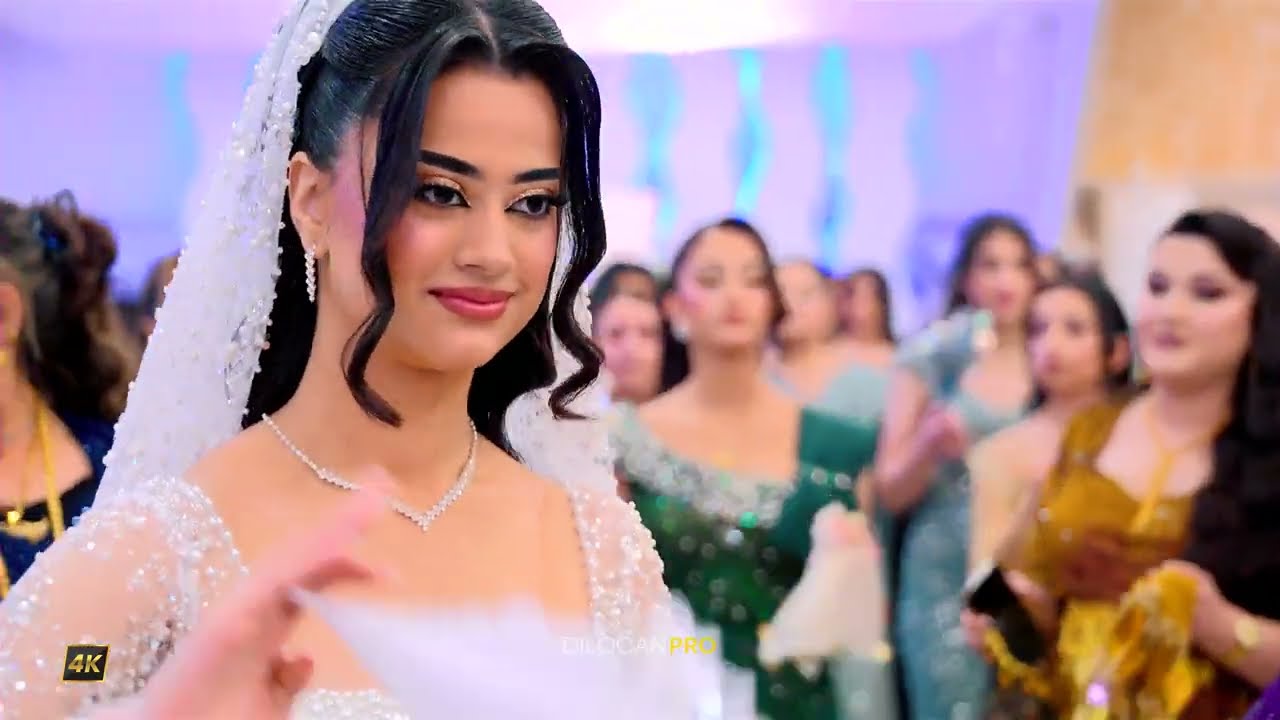 IMAD SELIM /   Peshwar & Evlin  / Part01 / #DilocanPro #Hochzeit #Wedding #Kurdish #Dilocan