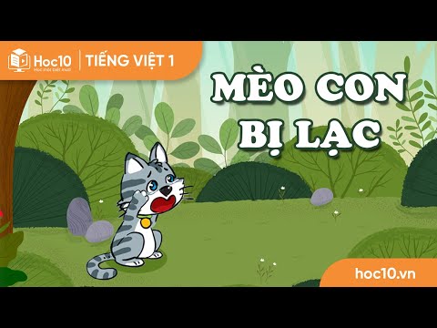 Video: 10 hành vi kỳ lạ của mèo