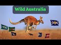 Visit Australia 