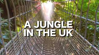 I Visited The UK's Only Jungle