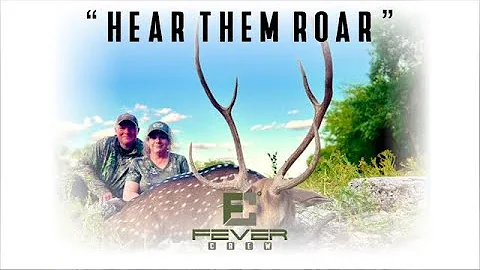 HEAR THEM ROAR: Hunting 100% FREE RANGE Axis bucks during the rut!