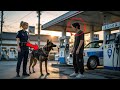 ガソリンスタンドの店員に吠えを止めない犬。しばらくして、警察が捜査を開始しましたが、ショックで固まってしまいました。