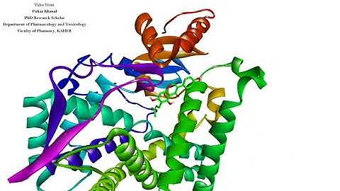 Ligand protein interaction Discovery Studio