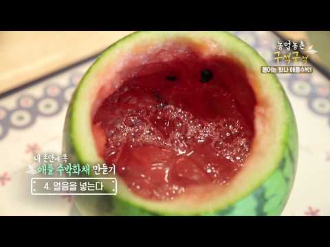 농업농촌 구석구석 <strong>애플</strong> <strong>수박</strong> ASMR