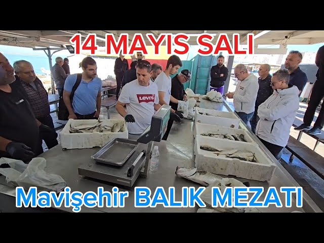 14 MAYIS SALI. MAVİŞEHİR MEZATTA  BUGÜN LÜLEBURGAZDAN GÖKHAN BEY VE EŞİ MİSAFİRİMİZDİ. class=