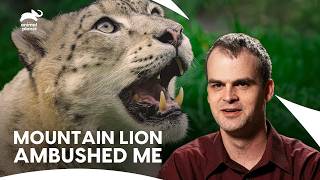 Escaping The Jaws Of A Mountain Lion | I Was Prey S2 E12 | Animal Planet India