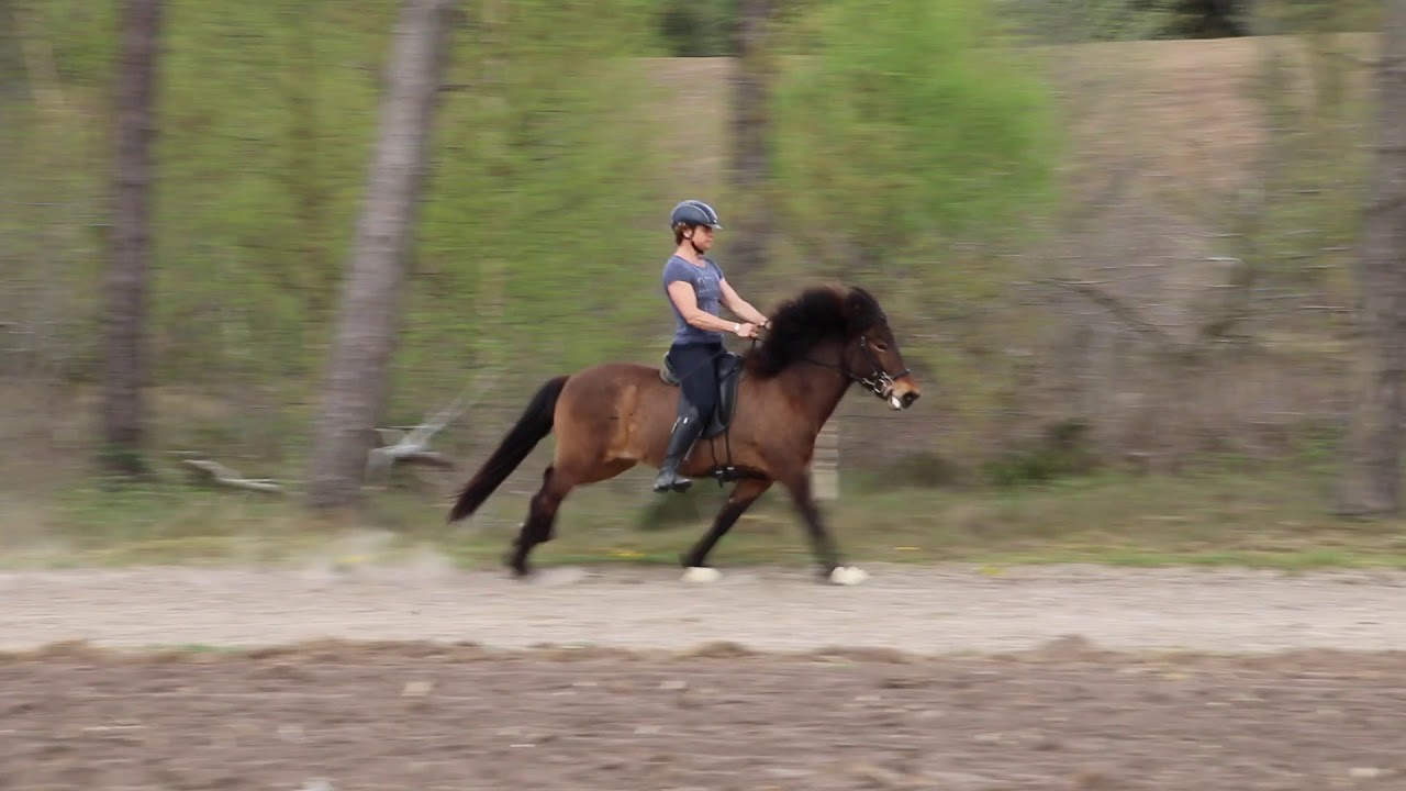Telpa fra Vengedalen