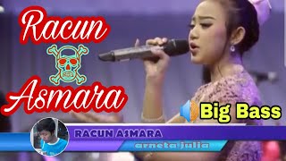 Racun Asmara - OM ADELLA •terbaru2019 •bigBASS - Arneta Julia