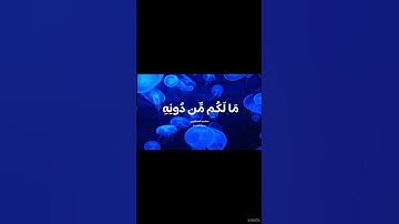 #القرآن_الكريم #المنشاوي | #سورة_السجدة