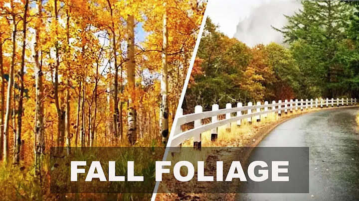 7 Perfect Places to See Fall Foliage - DayDayNews