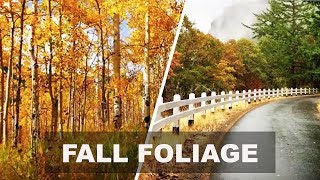 7 Perfect Places to See Fall Foliage
