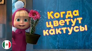 Маша и Медведь - Когда цветут кактусы🌵 Машины песенки🌵 Про Мексику 🇲🇽 (Серия 8)