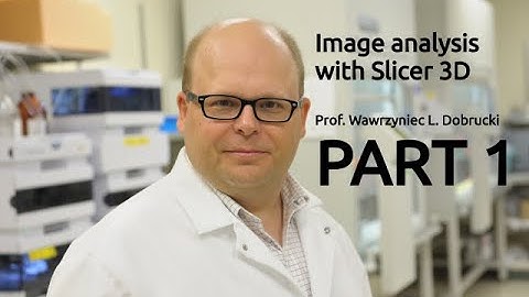 Analysis of CT images with Slicer3D. Part 1/3: Preparation files for analysis.