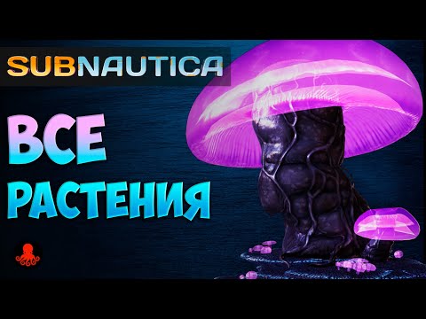 Видео: ВСЕ РАСТЕНИЯ Subnautica