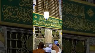 MADINAH ❤️💜💜 beautiful view mashallah 💜❤️❤️#madina #islamicvideos #islamicstatus #naat#peace