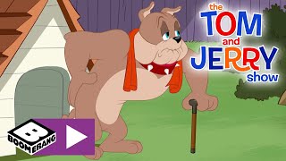 Tom & Jerry 105 År Gammel Boomerang Danmark