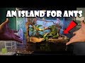 Creating an Island for Ants (Paludarium)
