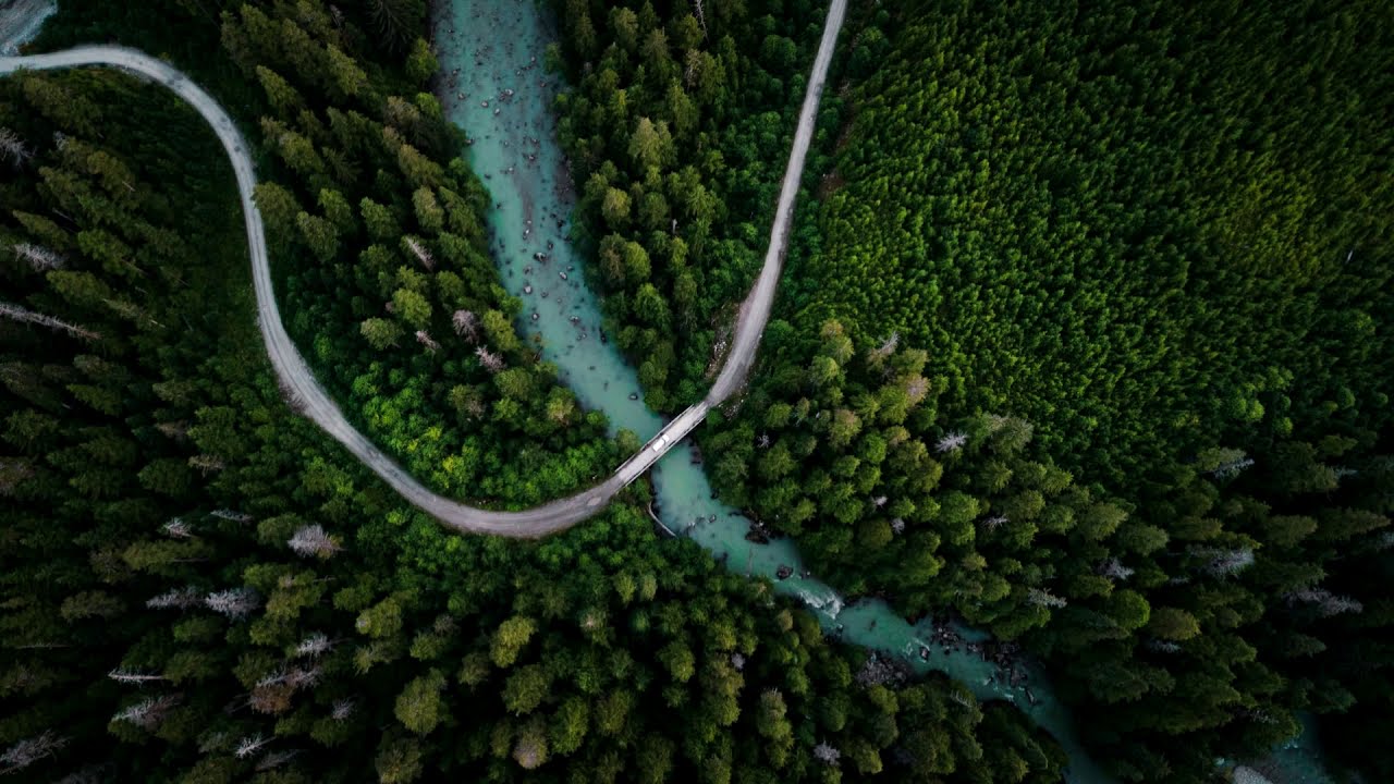 Forest Flow | Deep Chill Music Mix