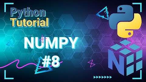 Python Data Science Tutorial: Numpy #8 Saving and Loading Files in Numpy