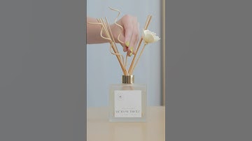 How to Make a Reed Diffuser | DIY Craft, Home Fragrance, Tutorial
