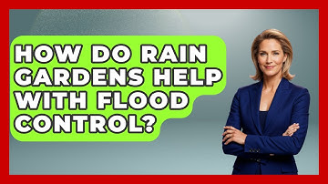 How Do Rain Gardens Help With Flood Control? - Weather Watchdog