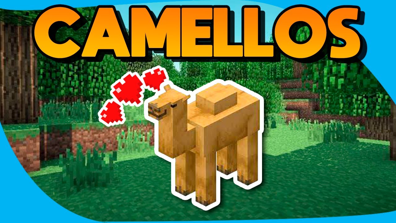 Como domesticar y reproducir CAMELLOS en Minecraft - YouTube