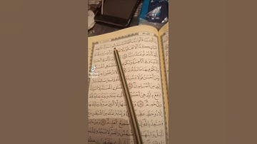 صوت جميل ارح سمعك سورة فصلت اية 29