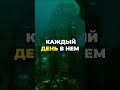 Сильные слова имама Али(a.c) о жизни