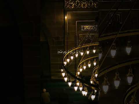 أستمر إياك أن تستسلم تجاهلهم انهم جاهلون نشر القرآن الكريم ماهر المعيقلي