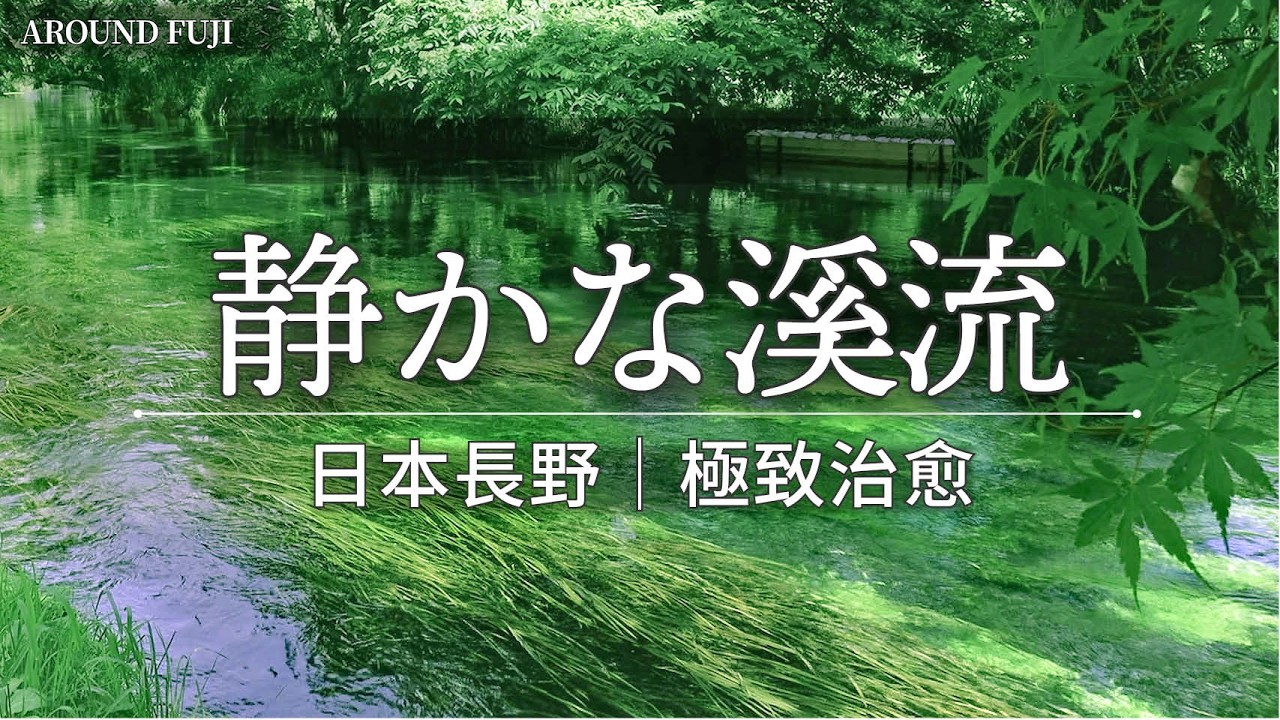 放鬆・睡眠・集中｜2時間の深いリラクゼーション自然音場｜2 Hours of Deep Relaxation Nature Soundscape｜Sleep・Meditation・Focus