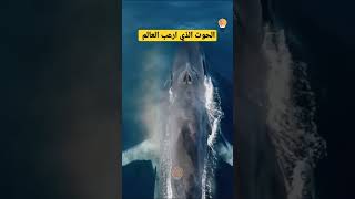 الحوت الذي أدهش العالم #shorts