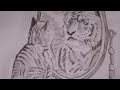 HOW TO DRAW A CAT | Step by step