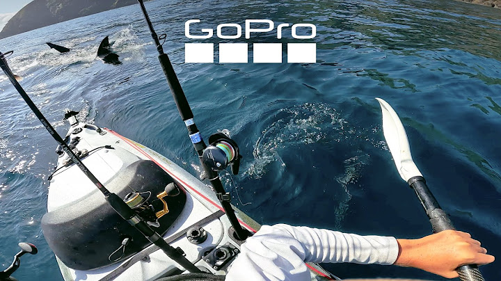 Massive Great White Shark Stalks Kayaker