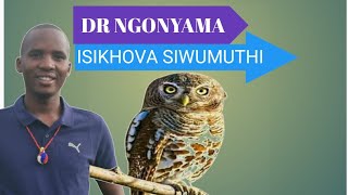 ISKHOVA SENZA OKUNINGI|DR NGONYAMA