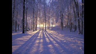 Winter Solstice 2017 - Today's news