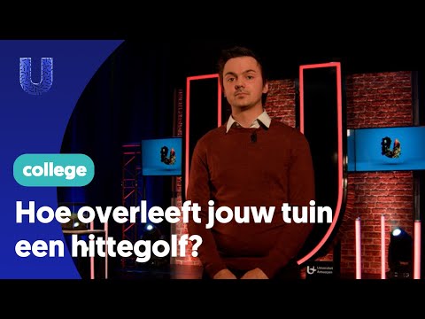 Hoe overleeft jouw tuin een hittegolf?