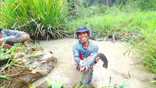 FISHING VIDEO #NGOCA RAWA SUMATRA#haruanhunter