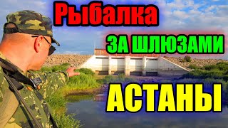 РЫБАЛКА, ЗА ШЛЮЗАМИ АСТАНЫ!!! РЕКА ИШИМ 2023.#рыбалка #казахстан #ишим #река