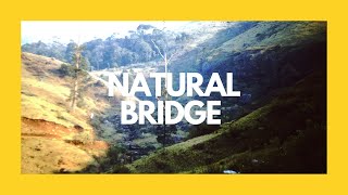 Download Lagu Natural Bridge Australia 1960s MP3