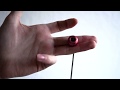 Begleri Tutorial 37 - Rock and Roll