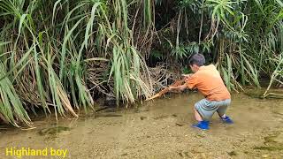 skilled carp hunter,  orphan boy khai hunts giant carp with a crossbow he makes from a tree.❤❤