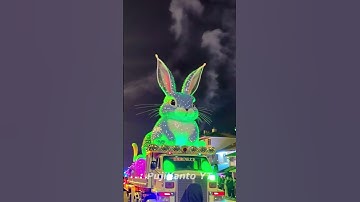 festival parade takbir keliling kelinci lucu  #takbiran #rabbit #kelinci #parade #festival