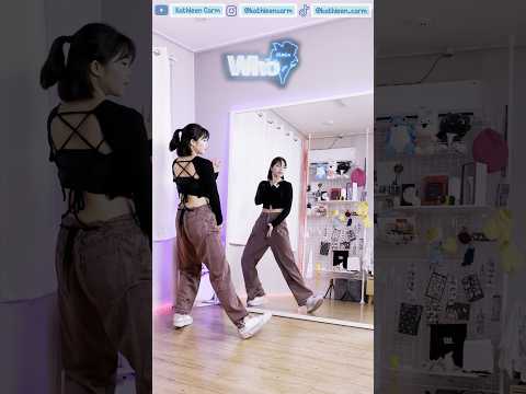 Bts Jimin Who Dancechallenge Dancetutorial