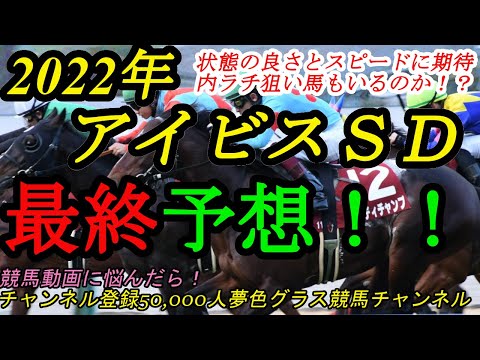 【最終予想】2022アイビスサマーダッシュ！本命馬は状態と速力に期待！内ラチ沿いの攻防も見逃せない！？