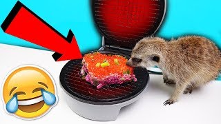 ЧТО ЕСЛИ ПРИГОТОВИТЬ ИКРУ и ОЛИВЬЕ САЛАТЫ в ВАФЕЛЬНИЦЕ - в НОВЫЙ ГОД ЭТО ОЧЕНЬ СТРАННО..😩 ЧТО ЕСЛИ ПРИГОТОВИТЬ ИКРУ и ОЛИВЬЕ САЛАТЫ в ВАФЕЛЬНИЦЕ - в НОВЫЙ ГОД ЭТО ОЧЕНЬ СТРАННО..😩