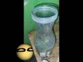 mostrándoles mi ecosistema