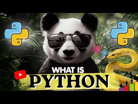 What Makes Python So Special? Find Out and Get Started | What Is Python || Codestyling