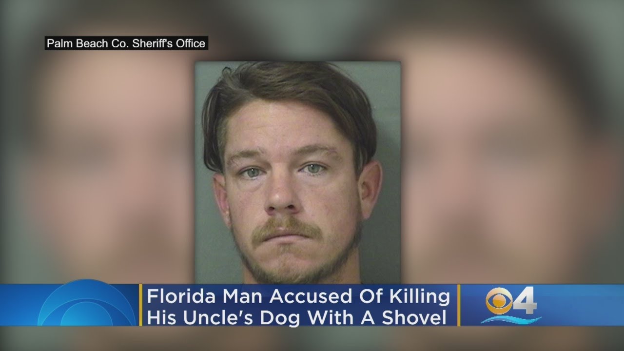 Florida Man Accused Of Fatally Beating Uncle's Dog With A Shovel - YouTube