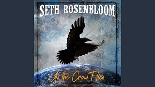 Video thumbnail of "Seth Rosenbloom - Set Me Free"